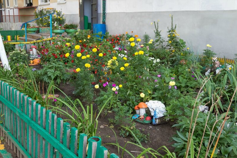 Астраханцы могут принять участие в конкурсе по облагораживанию двора