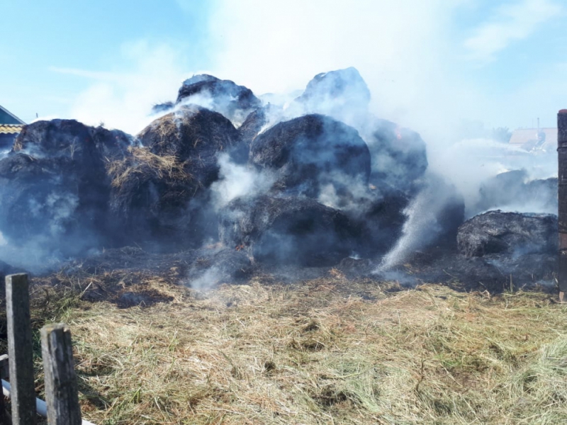 В Камызякском районе сгорело 10 тонн сена