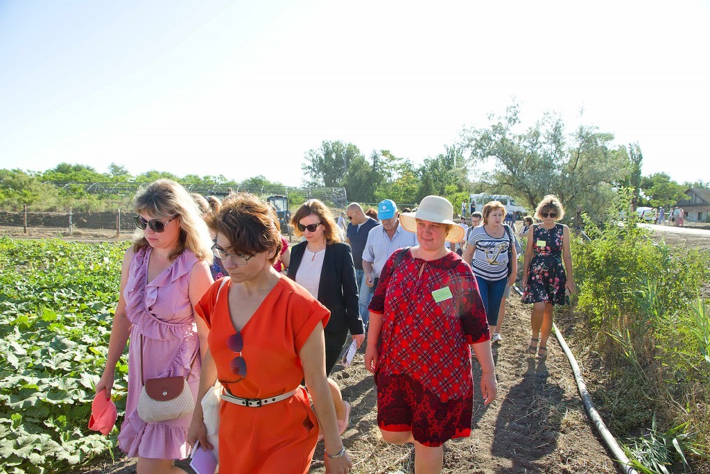 На Всероссийском Дне поля обсудили сельскохозяйственные культуры