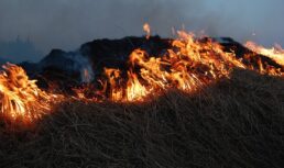 Астраханцам напоминают о правилах выжигания сухой растительности