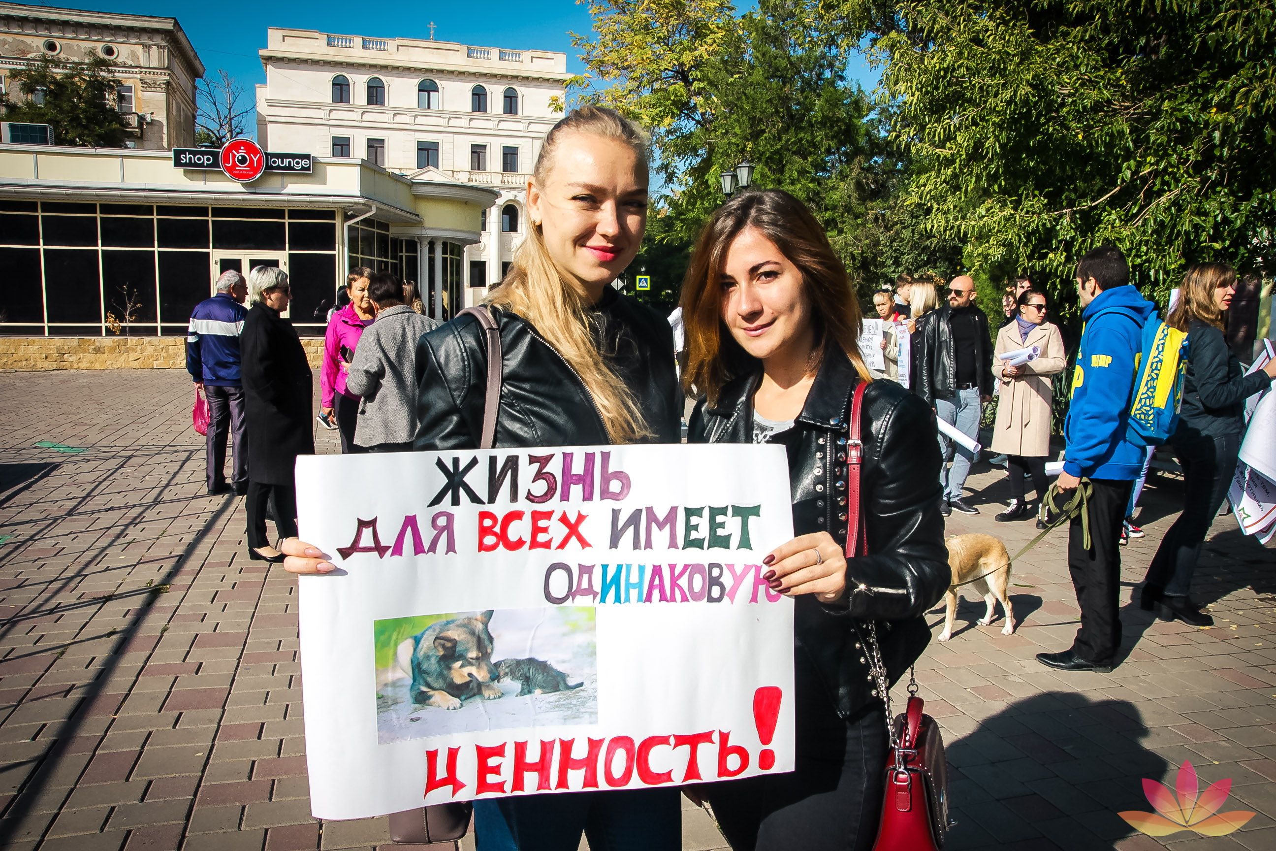 Астраханские зоозащитники призвали к соблюдению закона