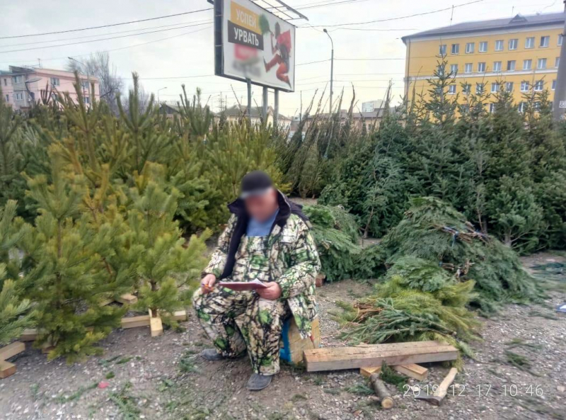 В Астрахани торговали елками без разрешения