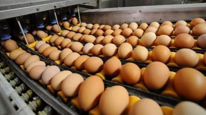 В Астрахани стало больше яиц и мяса
