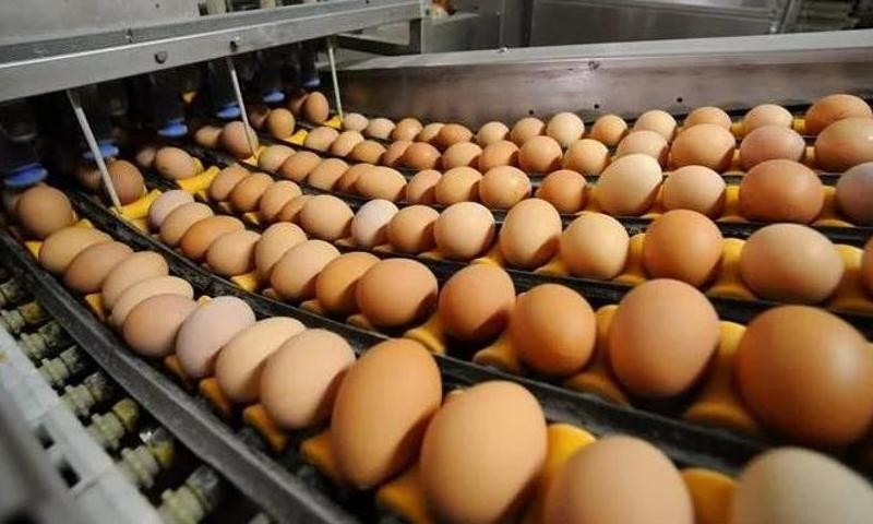 В Астрахани стало больше яиц и мяса