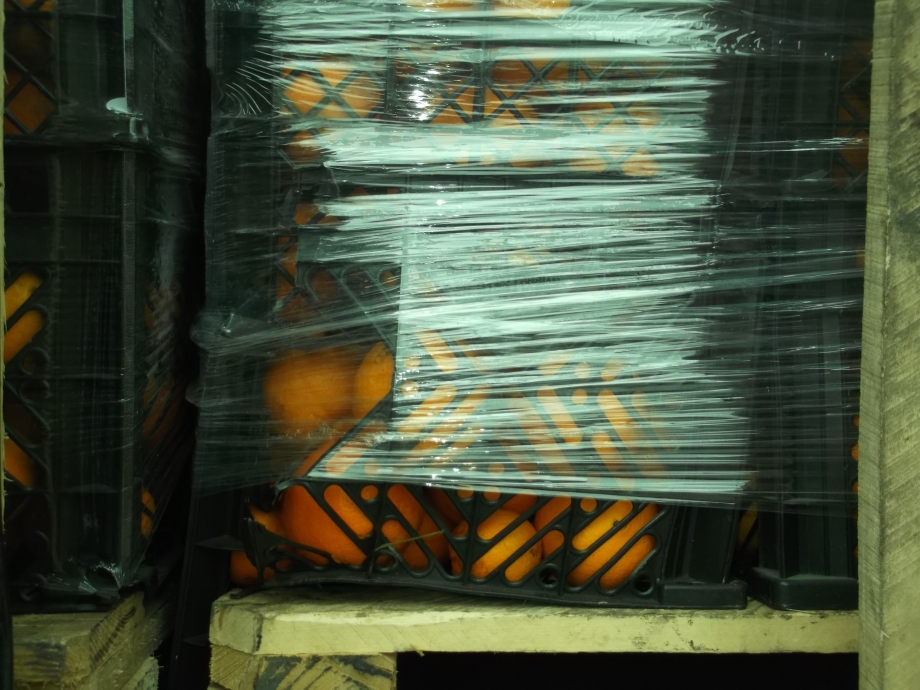 В Астрахань не смогли попасть 20 тонн апельсинов
