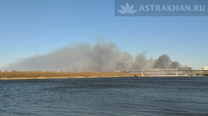 В Астраханской области горит камыш: дым стоит столбом
