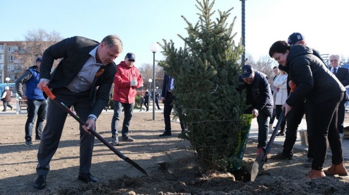Игорь Бабушкин сажает дерево