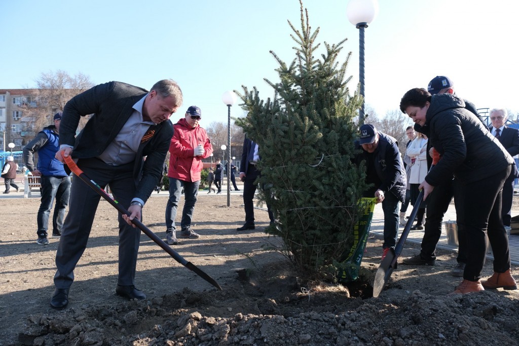 Игорь Бабушкин сажает дерево