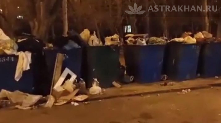 контейнерная площадка на Татищева не справляется с объемом мусора