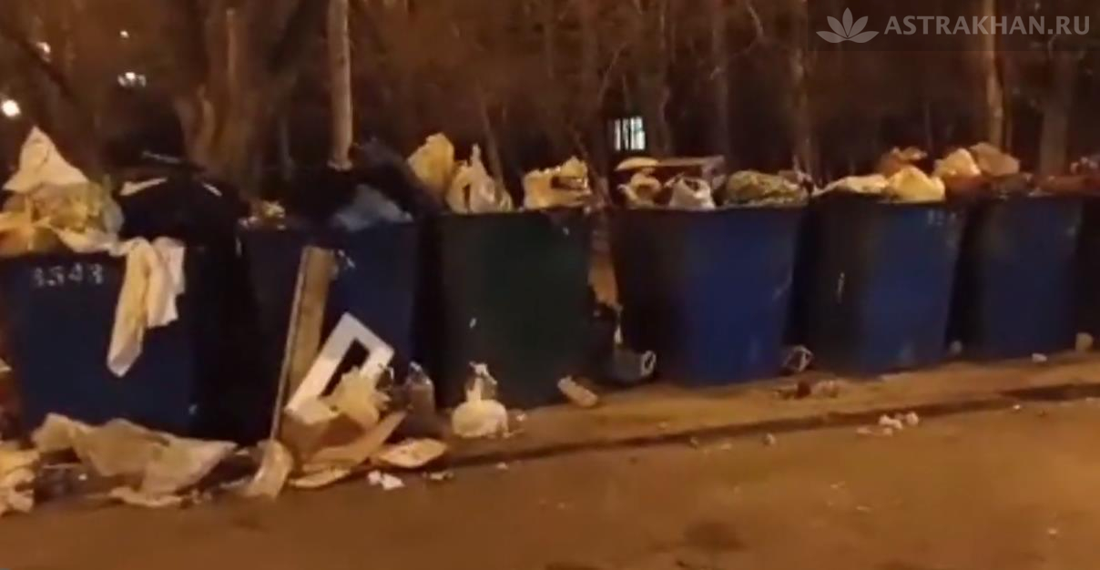 контейнерная площадка на Татищева не справляется с объемом мусора