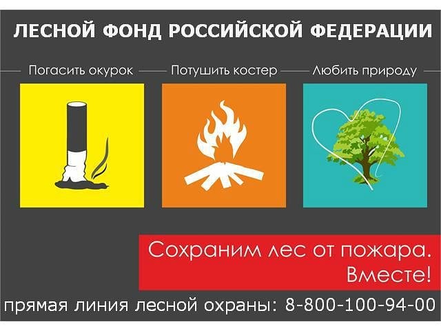 В Астрахани ограничено пребывание граждан в лесах