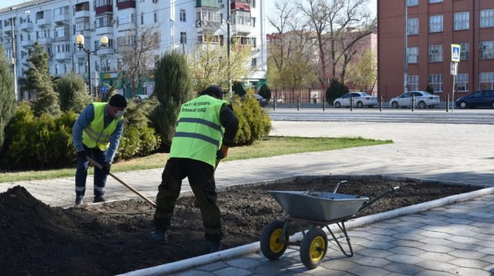 В Астрахани готовятся к высадке цветов