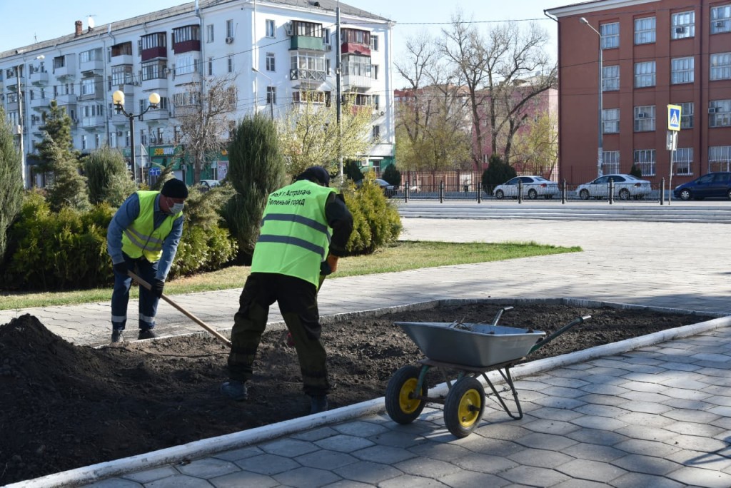 В Астрахани готовятся к высадке цветов