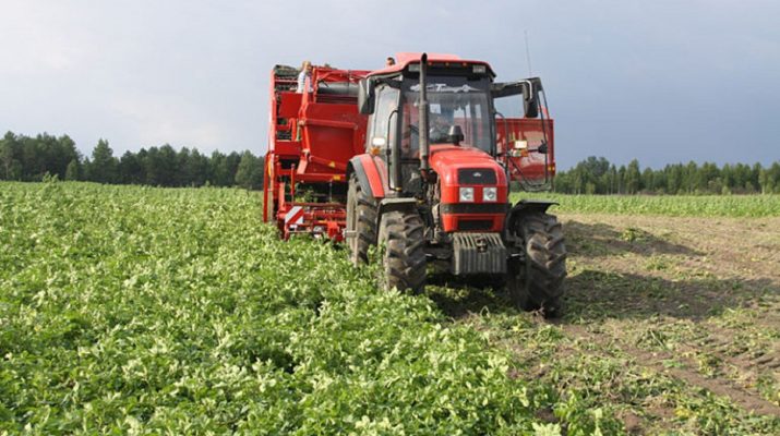 Более 7 тыс астраханцев трудоустроили в сельхоз