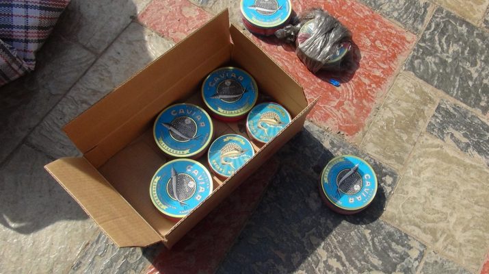 В Астрахани иностранец воровал и продавал чёрную икру