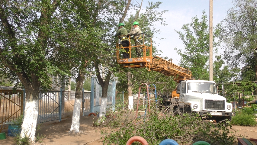 У Астраханских детских садов проводят опиловку деревьев