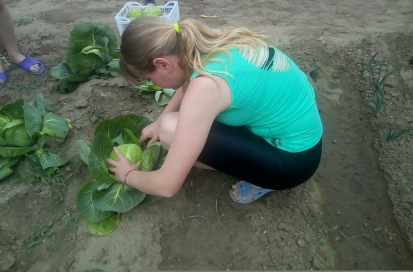 В харабалинском центре "Вера" дети вырастили урожай на детской площадке