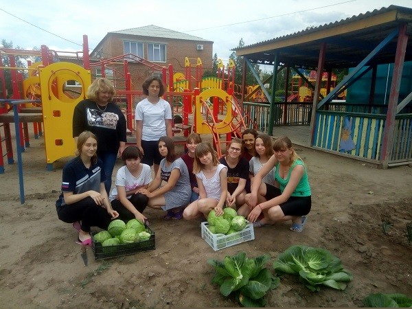 В харабалинском центре "Вера" дети вырастили урожай на детской площадке