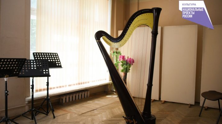 Астраханский колледж закупили новые музыкальные инструменты на 5 млн рублей