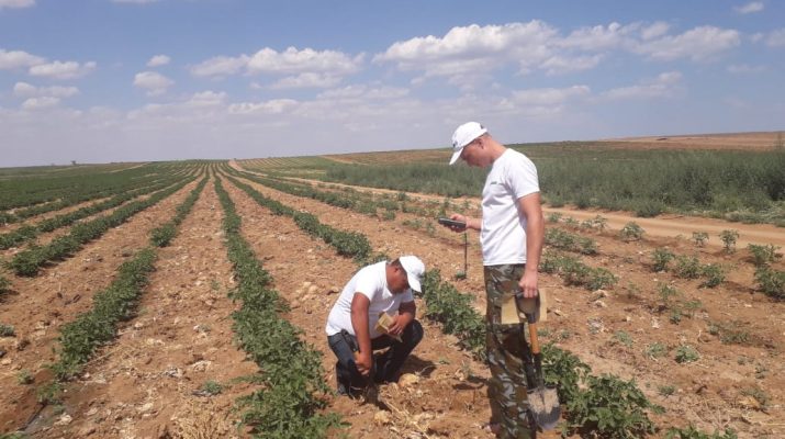 В Астраханской области ведётся мониторинг плодородия почвы