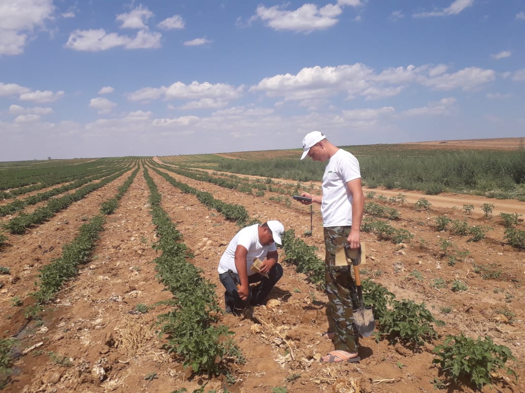 В Астраханской области ведётся мониторинг плодородия почвы