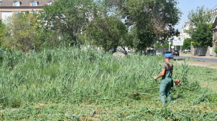 В Астрахани продолжается борьба с сорняками
