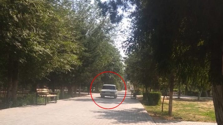 В Астрахани автомобилист катался на машине по парку