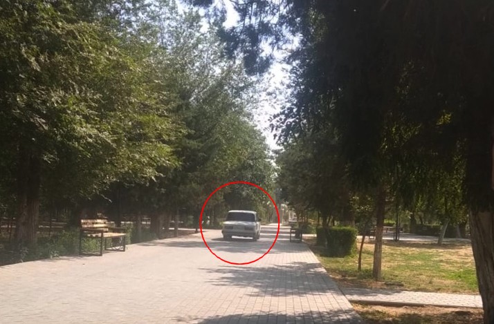 В Астрахани автомобилист катался на машине по парку