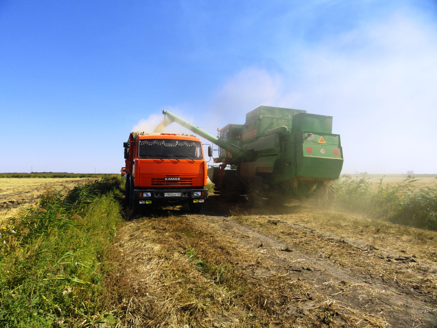 В Астраханской области продолжается сбор риса и томатов