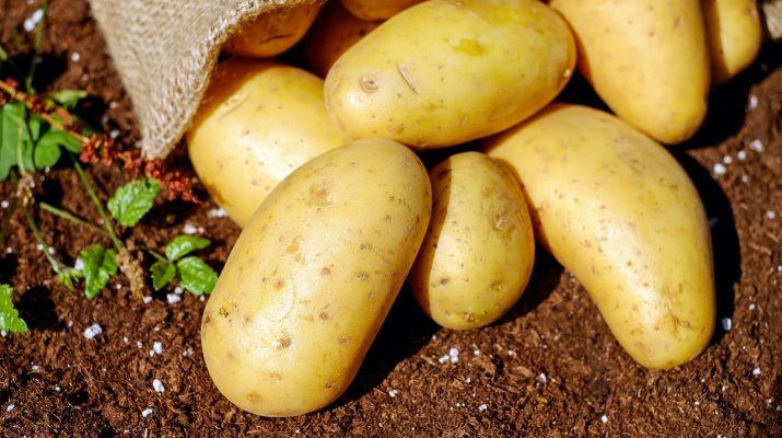 сбор картофеля
