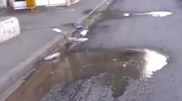 Лужа зловония или как в микрорайоне Бабаевского вывозят мусор (видео)
