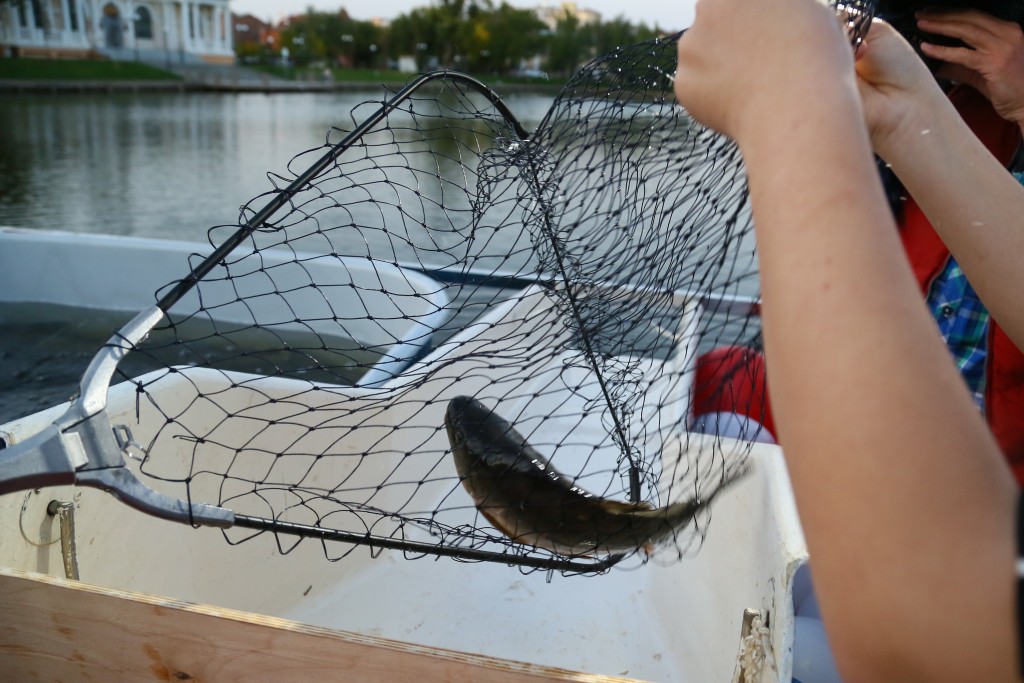 Игорь Бабушкин выпустил рыбу в Лебединое озеро