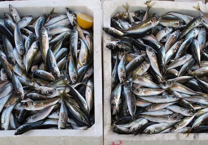 незаконная торговля рыбой Астрахань