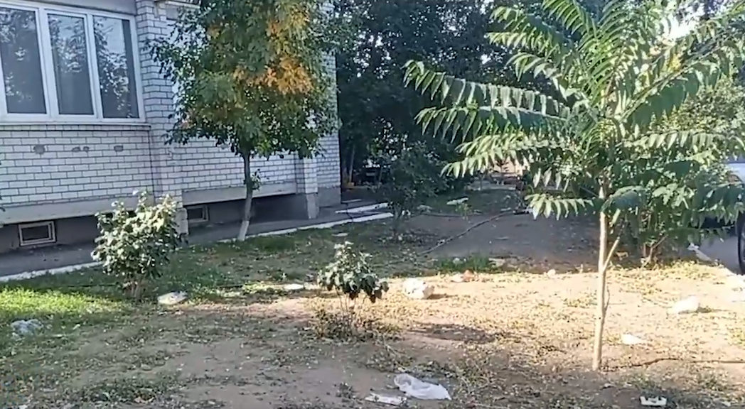 мусор и собаки в Астрахани