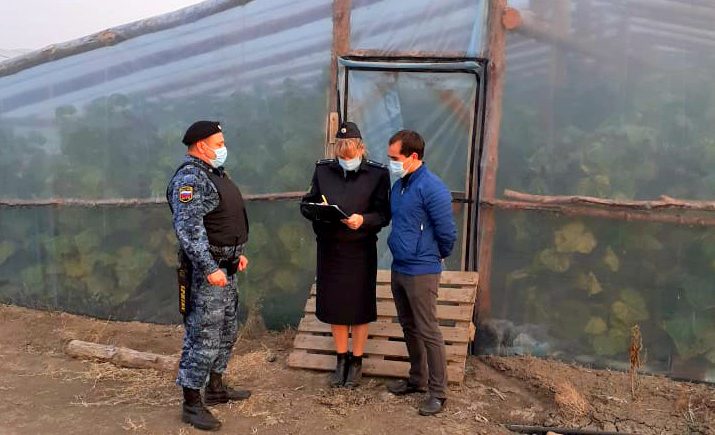Фермер в Астрахани нелегально взял на работу иностранцев
