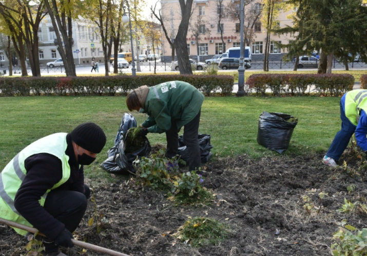 в Астрахани высадят 7 тысяч тюльпанов
