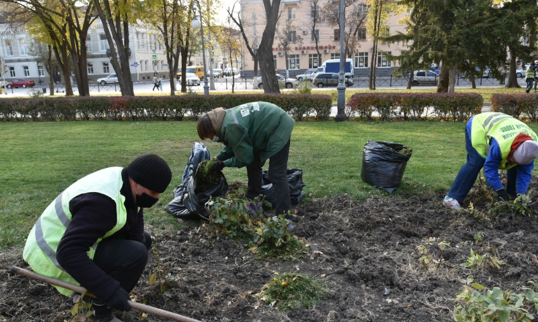 в Астрахани высадят 7 тысяч тюльпанов