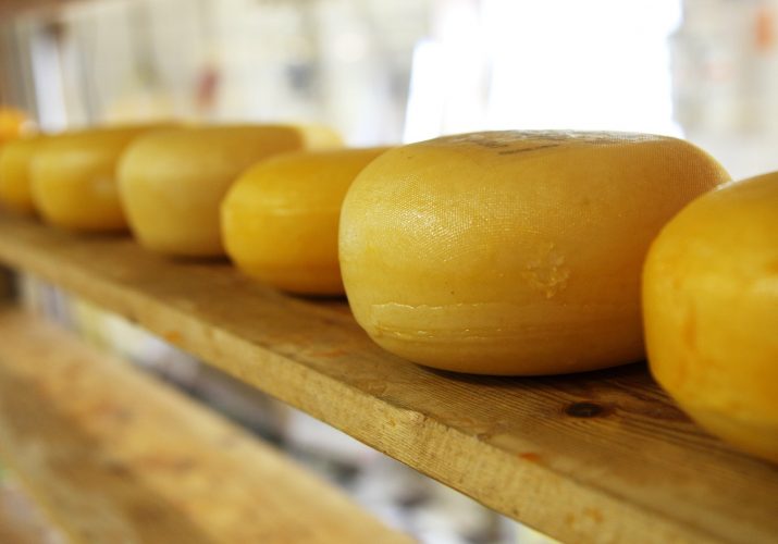 сыр увеличивает продолжительность жизни