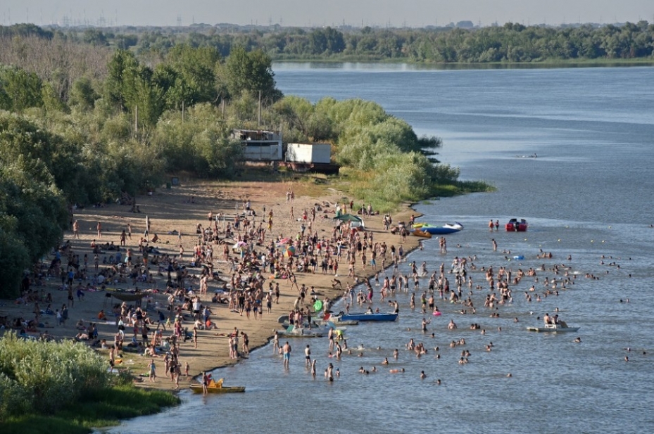 Астраханцам запретили приводить на пляж животных и плавать на бревнах