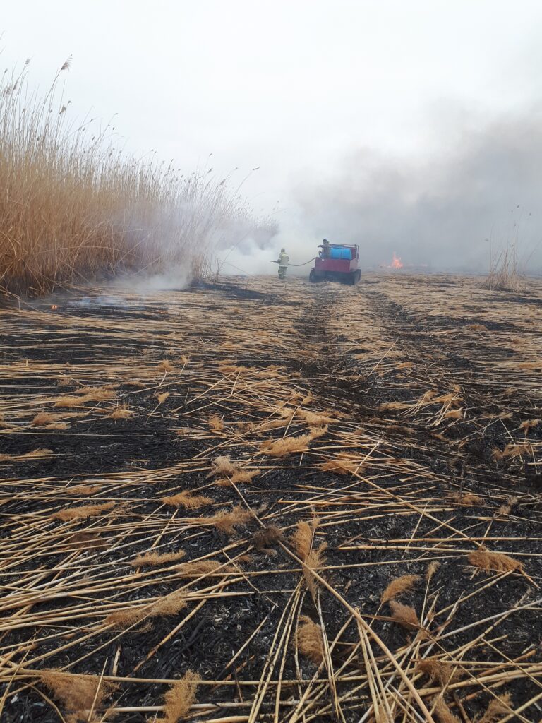 Лесопожарная команда астраханского заповедника спасла от огня 13 тысяч гектар земли