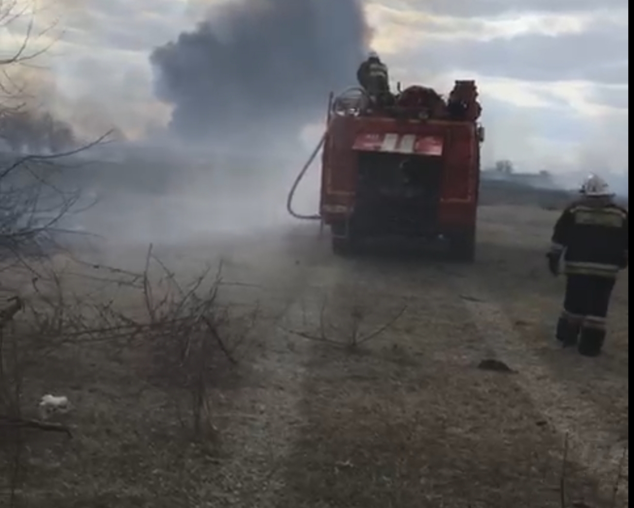 Пожар в Астраханском заповеднике распространился на 8,5 га