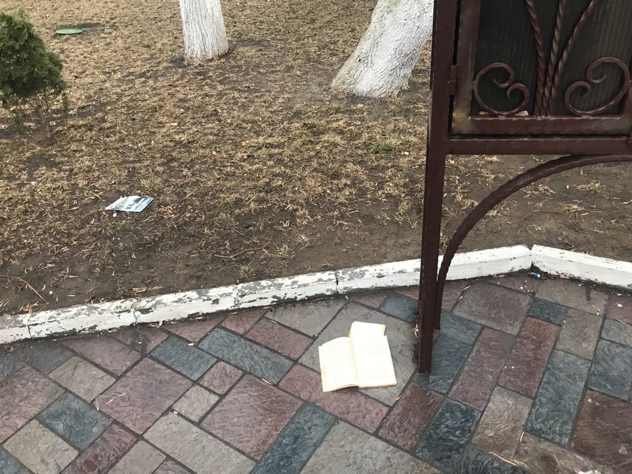 Астраханцы бросают книги в центре города