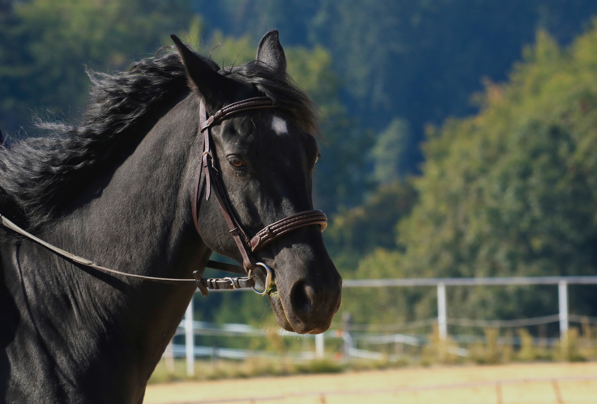 Вшивое и Чёрный конь: как появились названия астраханских сёл