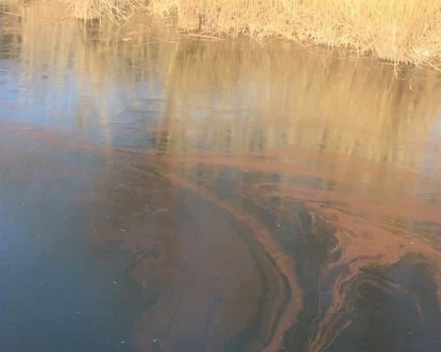 В Астрахани произошло загрязнение акватории ерика Солянка