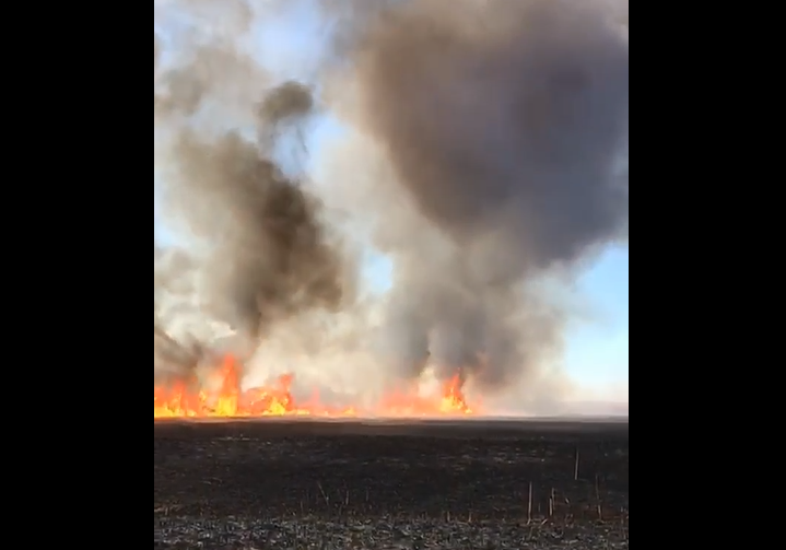В Астраханском заповеднике спасатели продолжают тушить крупный пожар