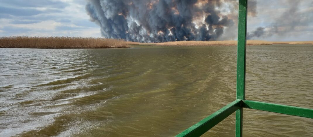 Директор Астраханского заповедника назвал ситуацию с пожарами в регионе катастрафической