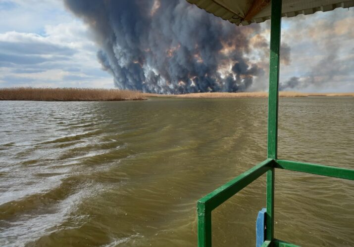 Директор Астраханского заповедника назвал ситуацию с пожарами в регионе катастрафической