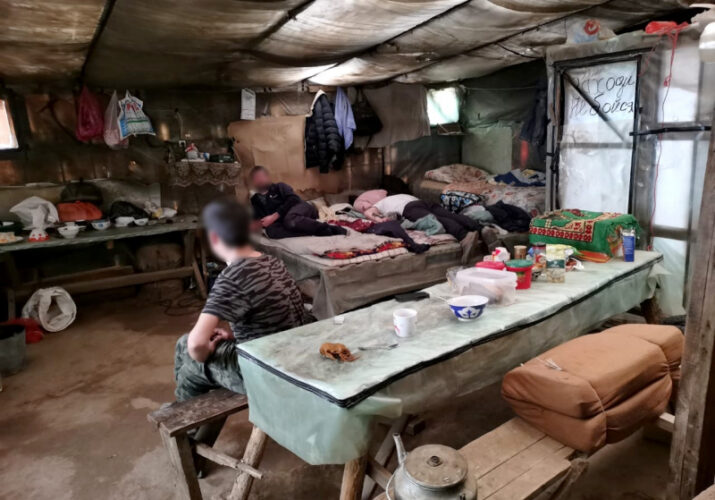 граждане Узбекистана жили у теплиц