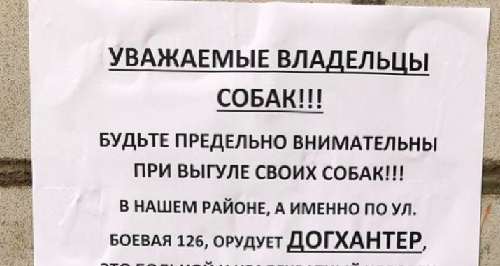 В Астрахани на улице Боевой орудует догхантер: погибли 4 бездомные собаки