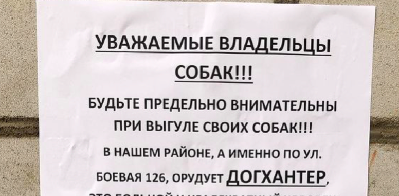 В Астрахани на улице Боевой орудует догхантер: погибли 4 бездомные собаки